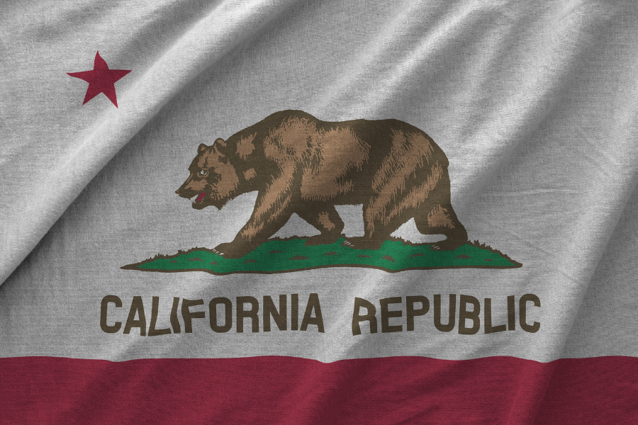 California US state flag